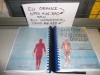 Anatomia si fiziologia omului cu aplicatii practice