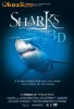 Sharks 3D, blu-ray, 2 disc edition