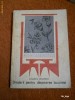 BRODERII PENTRU DECORAREA LOCUINTEI -E.GRIGORESCU[1970][TIN]