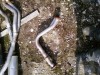 TOBA DE ESAPAMENT INITIALA OPEL VECTRA A 1988 1992 1.7 D