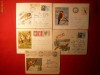 10 Plicuri -Ilustrate -Intreguri -  FAUNA - 1961- 1975