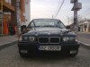 bmw 320 pisicuta