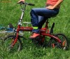 UNICAT Bicicleta pliabila / plianta Bike4u, din poza