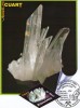 Ilustrata Maxima Minerale - Cuart