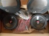 Vand Kit Audio Signat