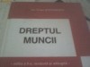 I TRAIAN STEFANESCU- DREPTUL MUNCII, LUMINA LEX 2002