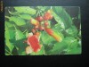 LOT 4 CARTELE ROMTELECOM - PUZZLE