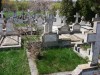 vand loc de veci manastirea cernica
