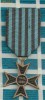 medalieCruce 1941-1945 cu plic plastic