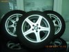Jenti sh Import Germania