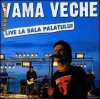Vama Veche - Live La Sala Palatului