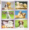 Calendare de buzubare-10 bucati- tematica-CAINI-2011