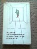 PLANTE DE APARTAMENT SI DECORATIUNI FLORALE