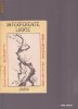 INTERFERENTE LIRICE - CONSTELATIA HAIKU FLORIN VASILIU  BRINDUSA STEICIUC