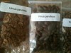 bonsai seminte  4 specii super oferta