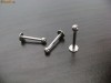 PIERCING BUZA OTEL CHIRURGICAL BILA