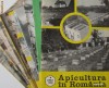 APICULTURA IN ROMANIA,colectie completa pe anul 1982 (stuparit,albine,albinelor,stuparului,stuparitul)