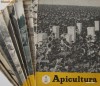 APICULTURA IN ROMANIA,colectie completa pe anul 1972 (stuparit,albine,albinelor,stuparului,stuparitul)