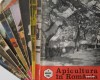 APICULTURA IN ROMANIA,colectie completa pe anul 1983 (stuparit,albine,albinelor,stuparului,stuparitul)