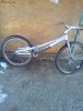 vand bike trial zoo! pittbull 2008