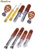 Suspensii Sport Reglabile! - marca TA-Technix pentru A3 8P,Leon 1P,Toledo/Altea XL,Octavia 2,EOS,Golf 5,Golf 5 Plus,Jetta,Passat 3C,Touran
