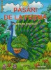 PASARI DE LA FERMA -carte de colorat