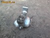Motor motocicleta MZ 125 an 1959
