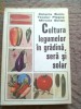 CULTURA LEGUMELOR IN GRADINA SERA SI SOLAR