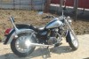 Chopper Royal Impecabil
