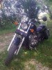 vand honda shadow vt600