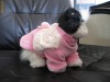 bluzita catel