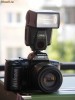 Nikon F401x + Metz 40AF-4N +nikkor 80-200mm f/4.5-5.6