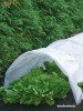 Sera pentru plante - model tunel Sera pentru plante - model tunel
