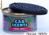 Odorizant auto CALIFORNIA SCENTS - Smoke Away