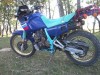 Honda Dominator-ENDURO