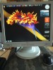 Monitor LCD 17 inch
