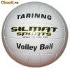 MINGE VOLEI ANTRENAMENT (pret catalog 30 ron)