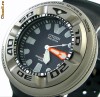 Citizen Eco-Drive 300m