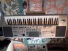 Vand clapa Korg pa50, in perfecta stare de functionare 0726039305