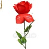Fleur D`Amour