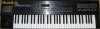 roland d20