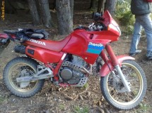 super motocicleta HONDA DOMINATOR