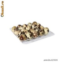 Oua prepelita arad 100% hranite natural caserola 24 oua foto