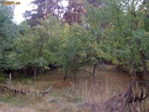 Teren cabana localitatea Vale - jud Sibiu