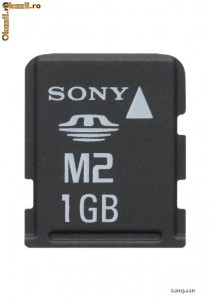 Sony Memory Stick Micro M2 1GB Card Duo Pro -  Memory stick SONY MSA8GU2 foto