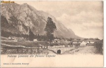 Vedere generala din Poiana Tapului foto