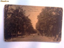 C.P.Braila - Aleia Monumentului foto