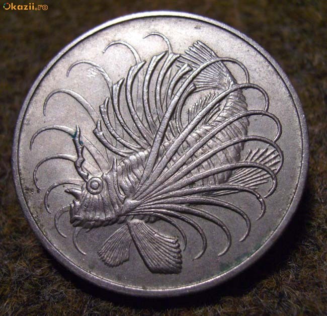 brosa din moneda singapore fauna marina foto mare
