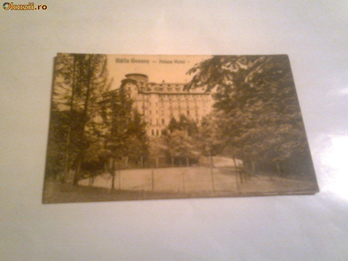 C.P.Baile Govora - Palace Hotel foto mare