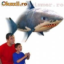Pesti Zburatori (airswimmers air swimmers swimers peste pesti sburator zburator sburatori zburatori rechin shark clovn) foto mare Pesti Zburatori (airswimmers air swimmers swimers peste pesti sburator zburator sburatori zburatori rechin shark clovn) foto mare